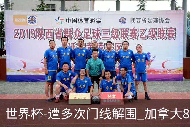 世界杯-遭多次门线解围 加拿大8射4正半场暂0-0南非