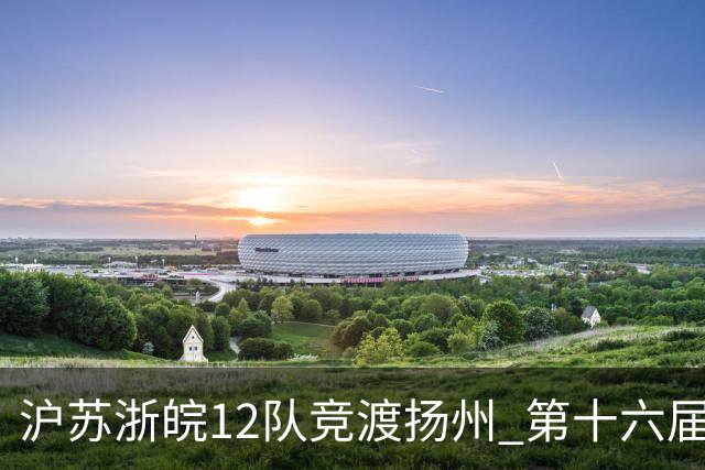 沪苏浙皖12队竞渡扬州 第十六届长三角龙舟赛擂鼓开桨